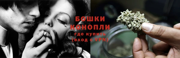 спайс Покачи